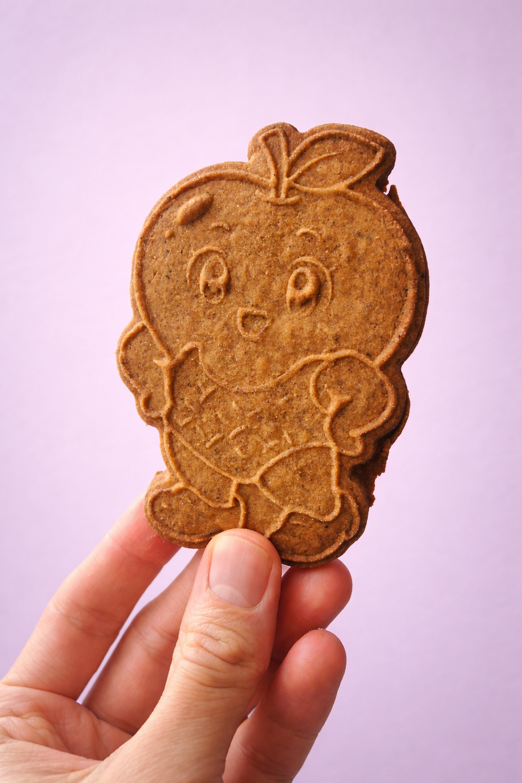 dutch bakery cookie speculaas